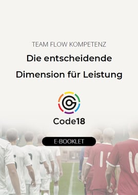 Code18_Team_Flow_Kompetenz_Vorschau