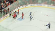 61509587c4f5f_Eishockey Studie